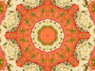 Similar image 8316520