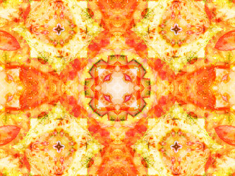 Similar image 8316540