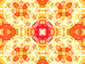 Similar image 8316544