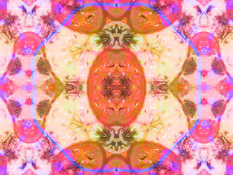 Similar image 8316570