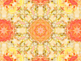 Similar image 8316572