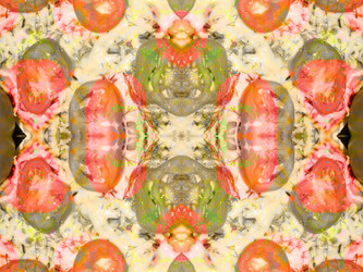 Similar image 8316573