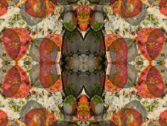 Similar image 8316576