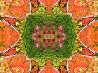 Similar image 8316589