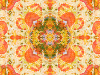 Similar image 8316604