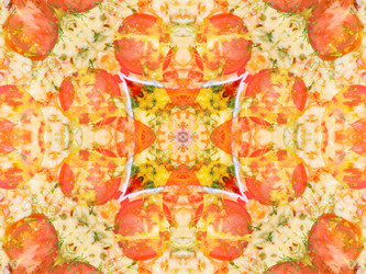 Similar image 8316608