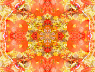 Similar image 8316625