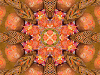 Similar image 8316637