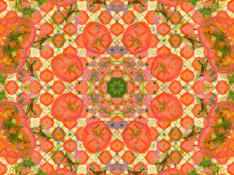 Similar image 8316638