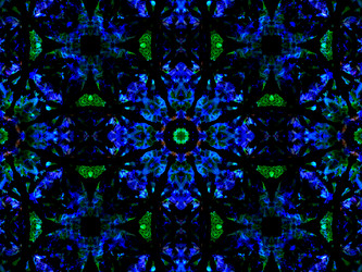 Similar image 8316641