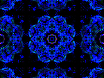 Similar image 8316642