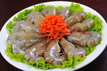 Similar image 8316675