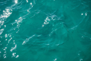 Similar image 8316886