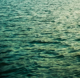 Similar image 8316892