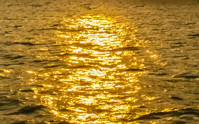 Similar image 8316895