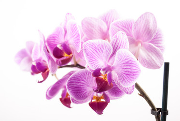 Similar image 8316977