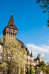 Similar image 8316987