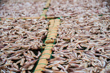 Similar image 8317042