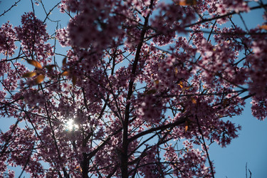 Similar image 8317043