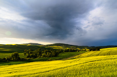 Similar image 8317300