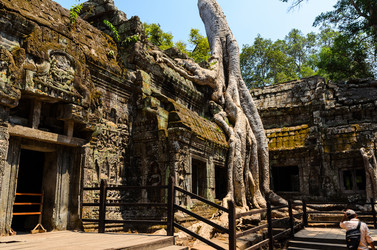 Similar image 8317323