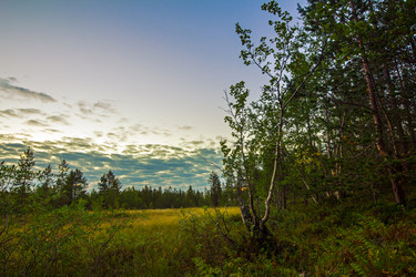 Similar image 8317356