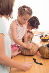 Similar image 8317411