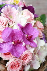 Similar image 8317430