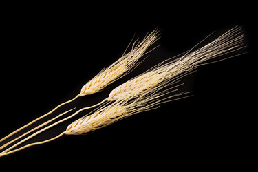 Similar image 8317665