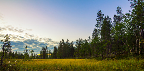 Similar image 8317791