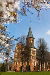 Similar image 8317796