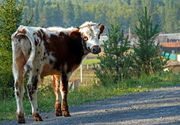 Similar image 8317970