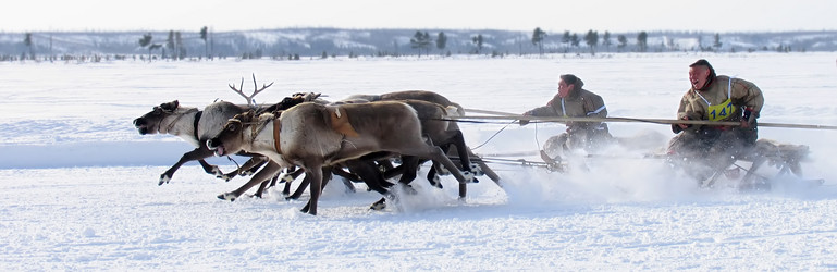 Similar image 8318059