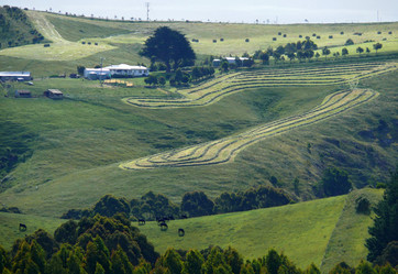 Similar image 8318146