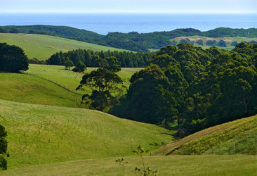 Similar image 8318147