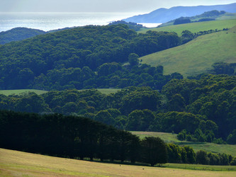 Similar image 8318148