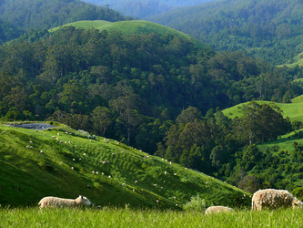 Similar image 8318149