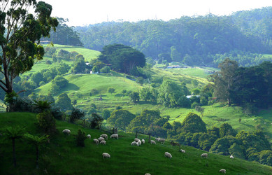 Similar image 8318150