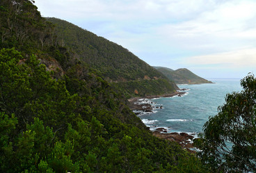 Similar image 8318154