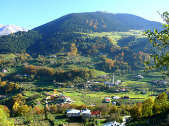 Similar image 8318176