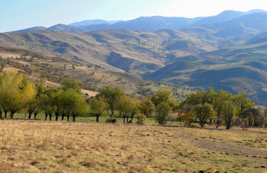 Similar image 8318211