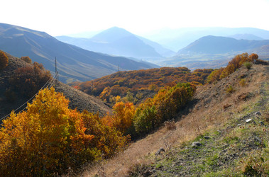 Similar image 8318212