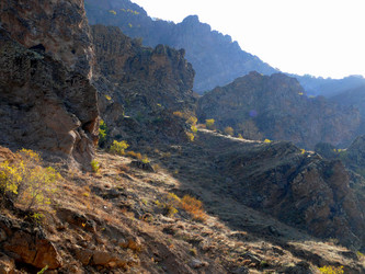 Similar image 8318218