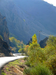 Similar image 8318219