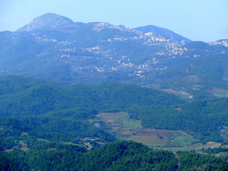 Similar image 8318220