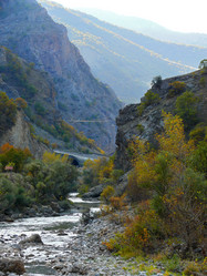 Similar image 8318228