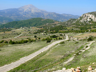 Similar image 8318270