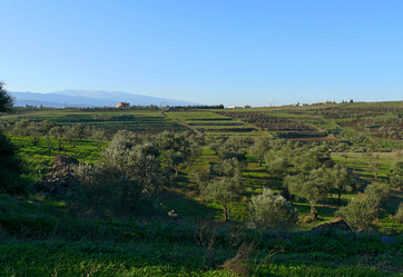 Similar image 8318285