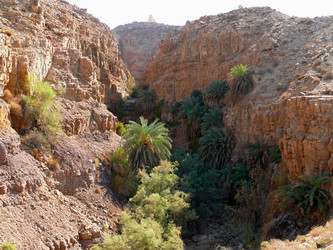 Similar image 8318293