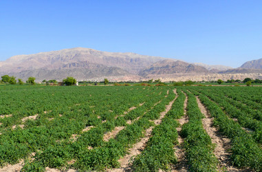 Similar image 8318297